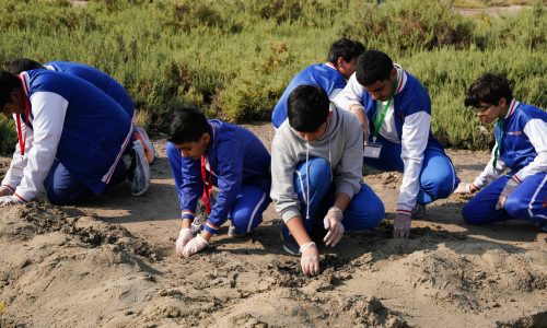بلدية عجمان تنفذ مبادرة تحالف القرم من عجمان